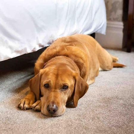 The Stanley Suite 1 Bedroom Apt Dog Friendly Patio Harrogate Ngoại thất bức ảnh